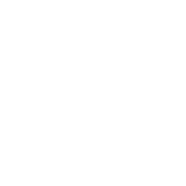 iconos 02.png