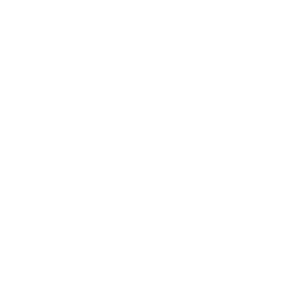 iconos 03.png