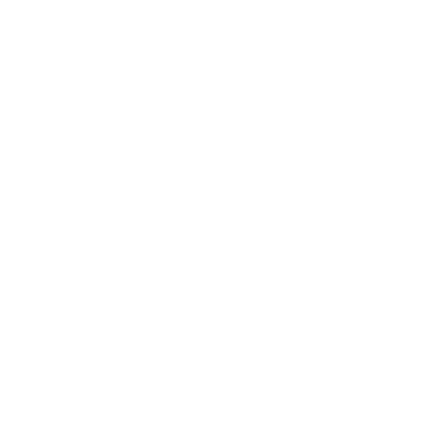 iconos 04.png