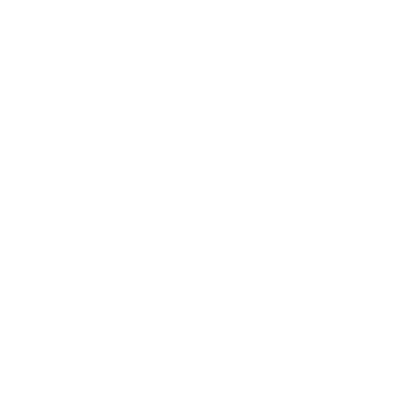 iconos 05.png
